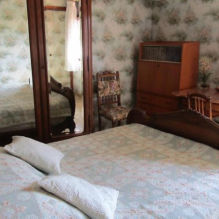 מונפלייה Chambre Salle De Bains Privee Jardin Arbore מראה חיצוני תמונה