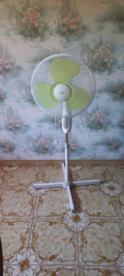 מונפלייה Chambre Salle De Bains Privee Jardin Arbore מראה חיצוני תמונה